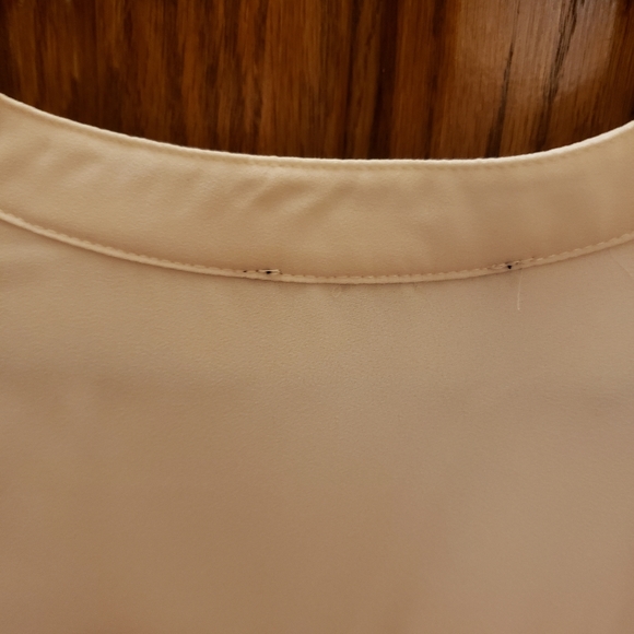 Cleo Sheer Blouse! - Picture 4 of 12